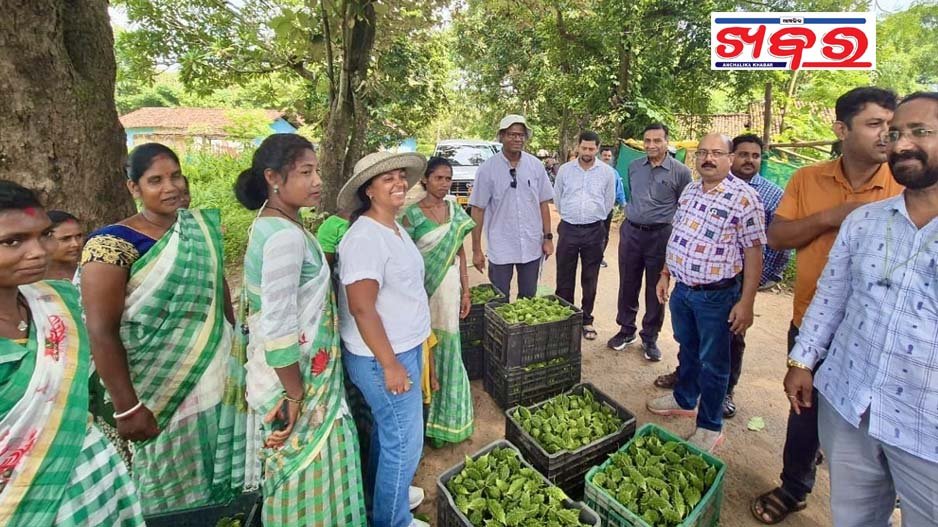 ବିଶ୍ଵବ୍ୟାଙ୍କ ପ୍ରତିନିଧିଙ୍କ ମା କାଳିଜାଇ ଏପିସି କ୍ଲଷ୍ଟରକୁ ପ୍ରଶଂସା